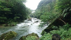 雄川の滝3